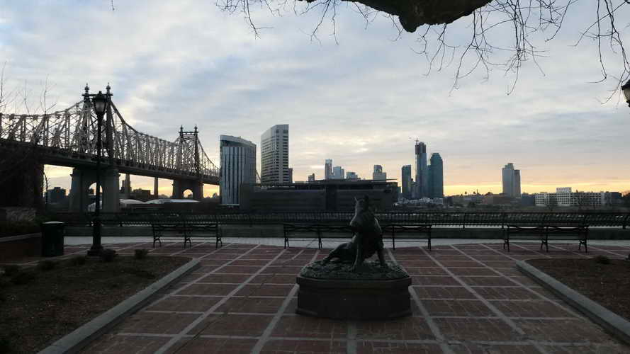 NYC_2020-01-27 07-45-19_P1070735
